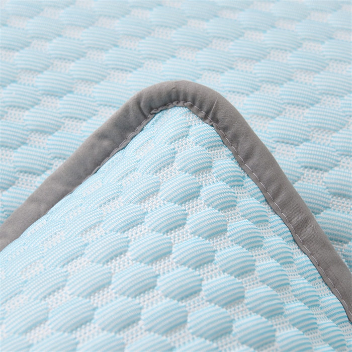 91家纺网 家纺一手货源 找家纺 大熊枕芯 2025新款冰豆豆凉感隔脏枕套 冰豆豆枕套-蓝