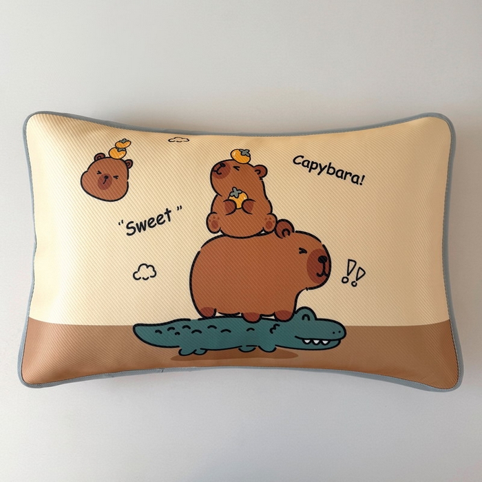 91家纺网 家纺一手货源 找家纺 蘭菲家纺 2025新款凉感丝卡皮巴拉凉席 征服拉