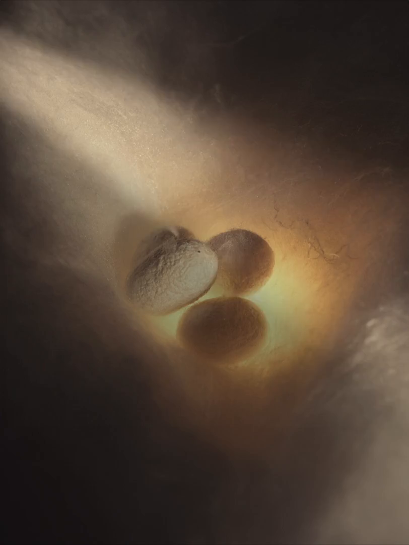 91家纺网 家纺一手货源 找家纺 （总）美伦美 2025新款全棉天丝提花夏被春秋被冬被被子被芯