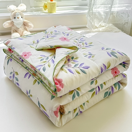 友承家纺 2025新款A类母婴级大豆夏被夏凉被空调被 莫妮卡