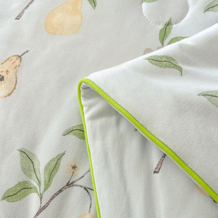 91家纺网 家纺一手货源 找家纺 龙图家纺 2025新款A类母婴针织棉夏被印花卡通凉感丝夏凉被空调被 硕果