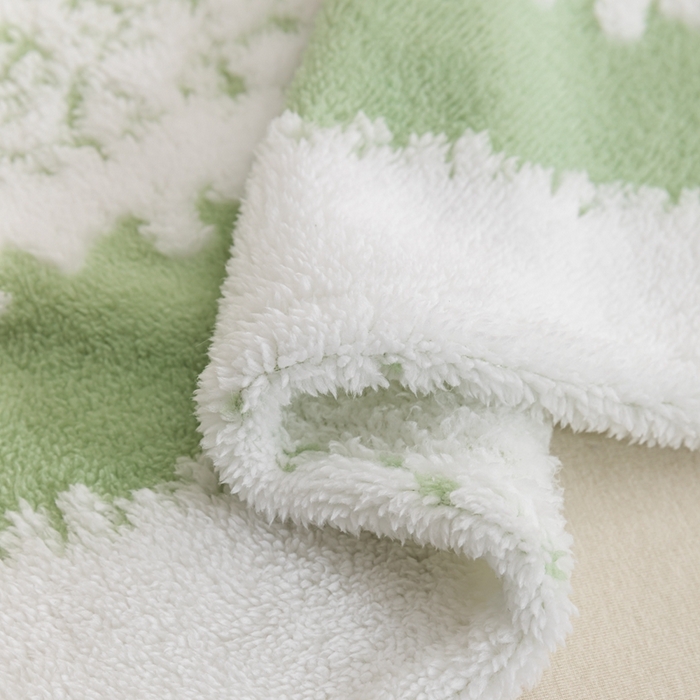 91家纺网 家纺一手货源 找家纺 潮邦 2025新款阳离子柔云毯毛毯-素影雅韵系列【可供跨境电商可压缩】 绿蔓