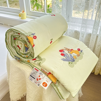 91家纺网 家纺一手货源 找家纺 （总）友承家纺 2025新款A类母婴级大豆夏被夏凉被空调被