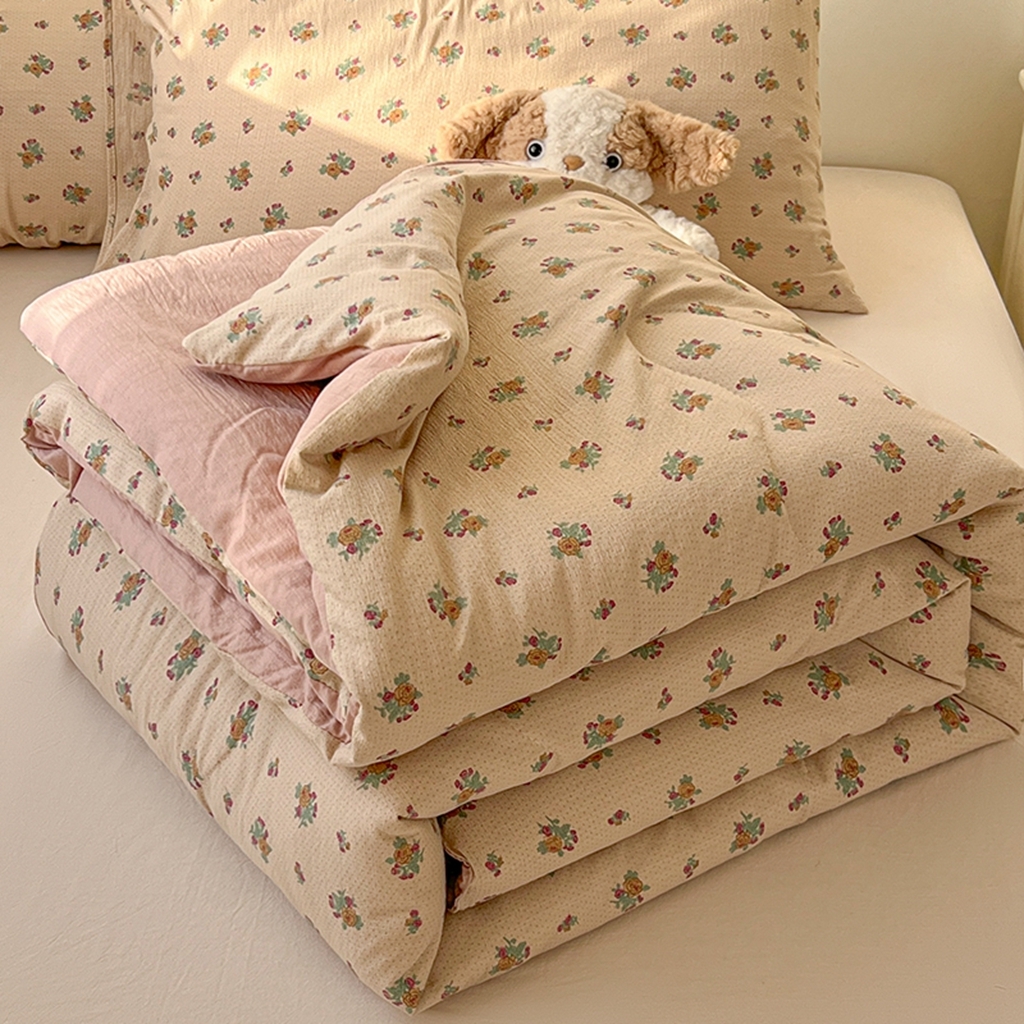 韩巢家纺 2025新款A类云感双层纱夏被夏凉被空调被薄被子空调被 春芽