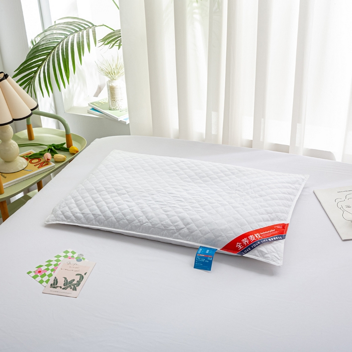 91家纺网 家纺一手货源 找家纺 （总）萌番宝 2025新款简约纯色全棉纯棉全荞麦枕表面多道绗缝内胆可脱卸枕头枕芯