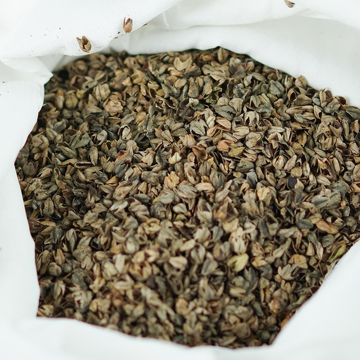 91家纺网 家纺一手货源 找家纺 （总）芯洲2025新款水洗棉条纹荞麦枕简约三角骨头枕枕头枕芯