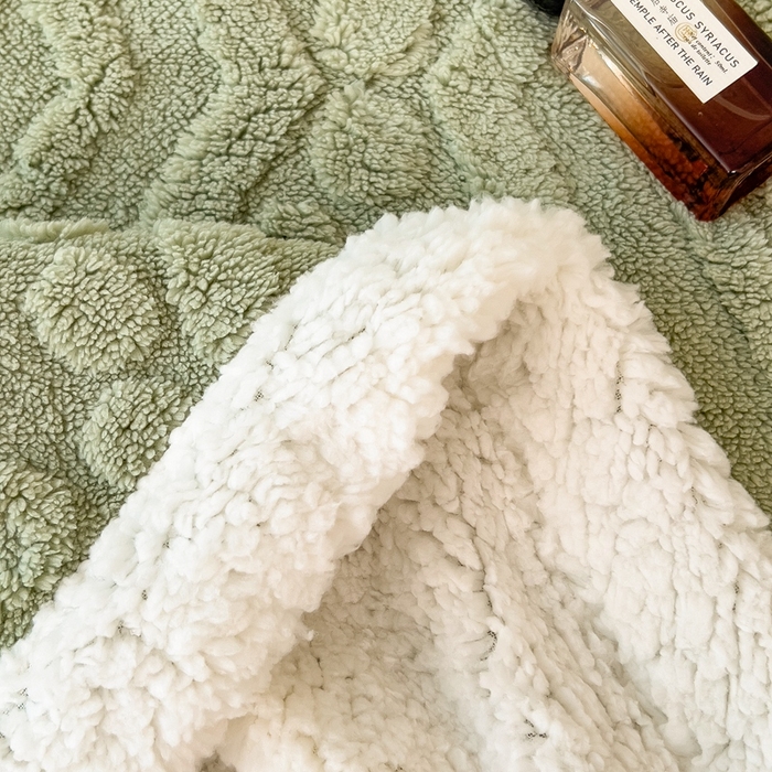 91家纺网 家纺一手货源 找家纺 高克重双层加厚塔芙绒毛毯双面绒盖毯沙发毯跨境外贸出口休闲毯子 欧式-抹茶绿