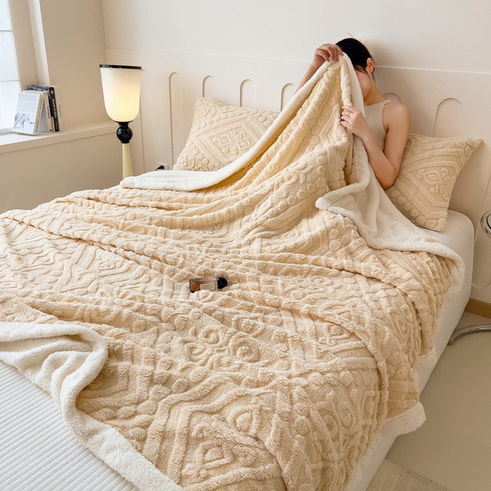 91家纺网 家纺一手货源 找家纺 高克重双层加厚塔芙绒毛毯双面绒盖毯沙发毯跨境外贸出口休闲毯子 欧式-奶咖色