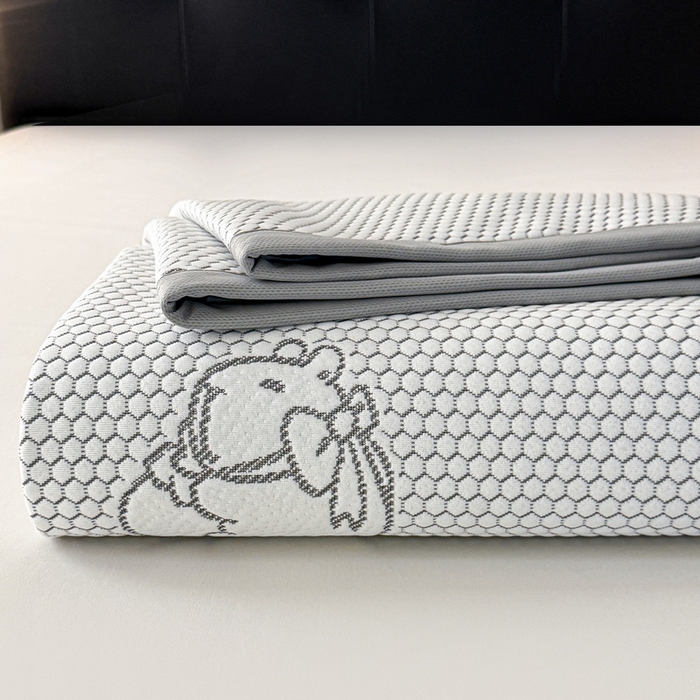 91家纺网 家纺一手货源 找家纺 LIFE.丽芙 2025春夏季新品A类针织提花冰凉豆豆凉感软席子平铺绑带款冰丝凉席三件套（450克）-风格一 卡皮巴拉-灰