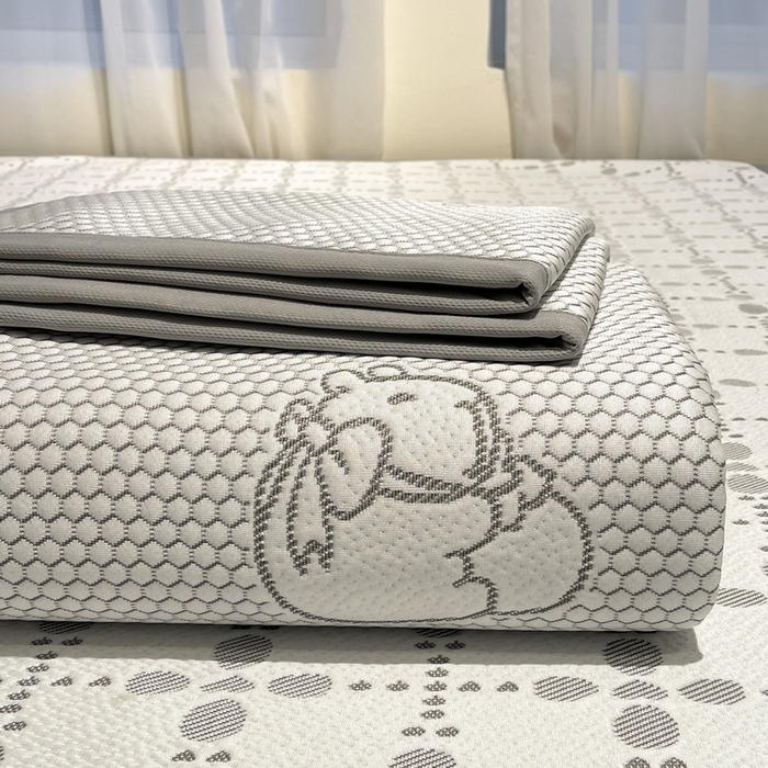 91家纺网 家纺一手货源 找家纺 LIFE.丽芙 2025春夏季新品A类针织提花冰凉豆豆凉感软席子平铺绑带款冰丝凉席三件套（450克）-风格二 卡皮巴拉-灰