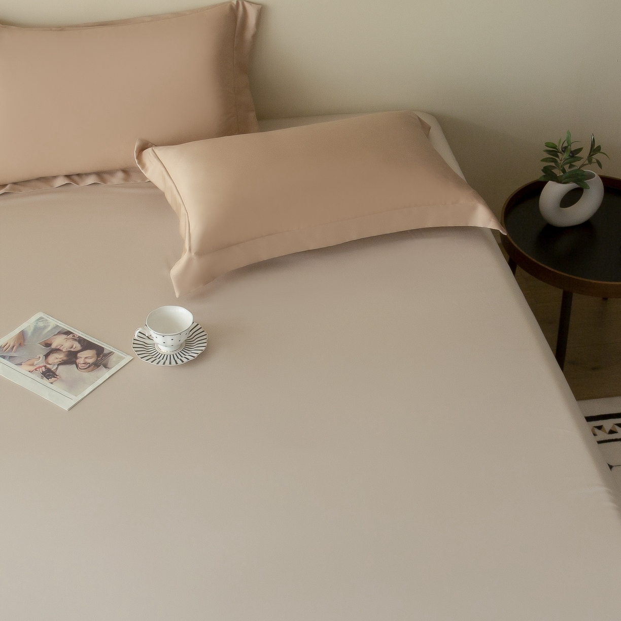 91家纺网 家纺一手货源 找家纺 ONE TWO ONE 121 2025新款60支奥地利进口兰精天丝秋风系列单品-枕套 薄暮咖