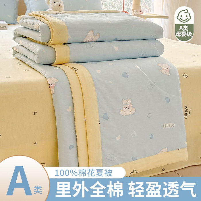 栩裕纺织 2025新款全棉印染棉花夏被夏凉被空调被 哈基米