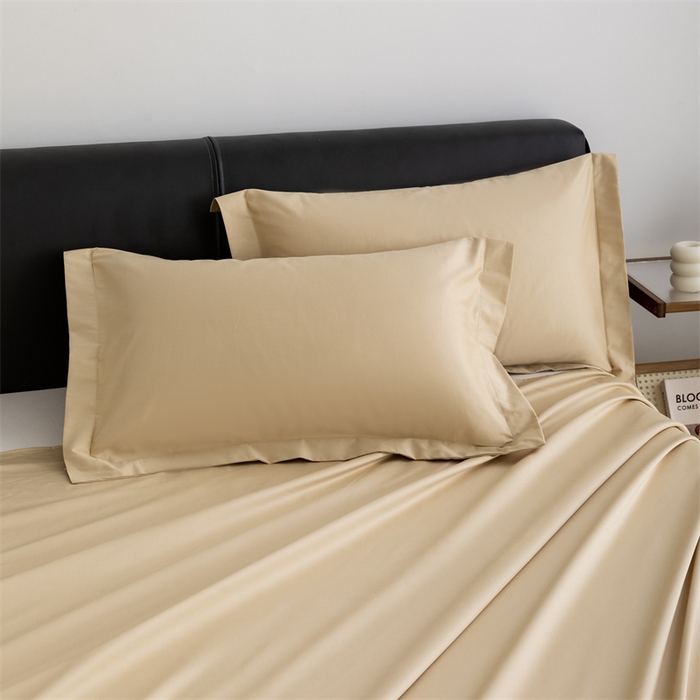 宝时兰 2025新款全棉长绒棉纯棉100支纯色单人纯棉枕套量大优惠 香槟金