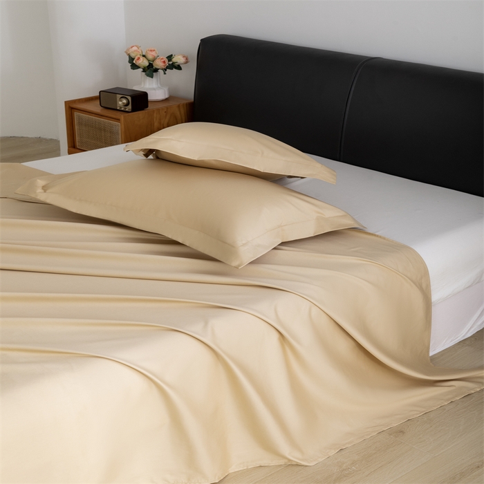 91家纺网 家纺一手货源 找家纺 宝时兰 2025新款全棉长绒棉纯棉100支纯色单人纯棉枕套量大优惠 香槟金