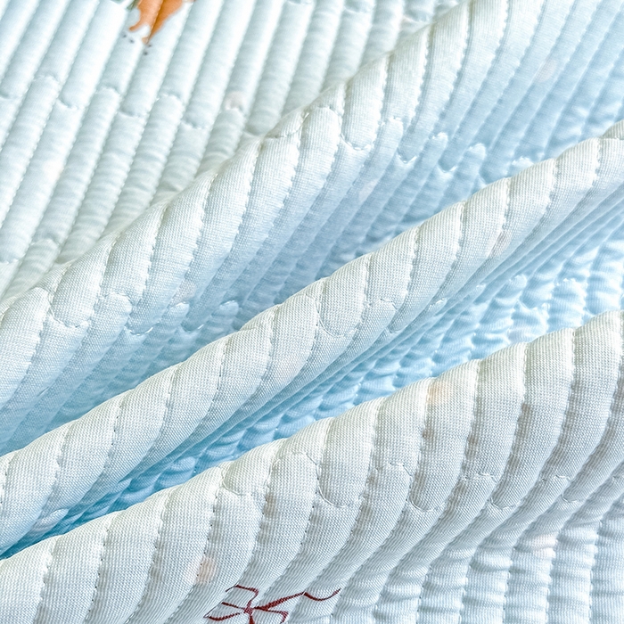 91家纺网 家纺一手货源 找家纺 恒尚居 2025新款双层纱小云棉多功能床盖-自由空间 魔法腊肠狗--浅蓝结界
