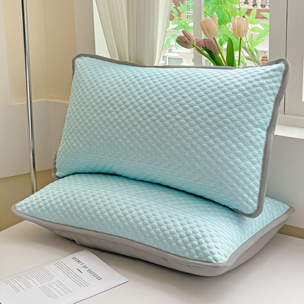 卓昌枕芯 2025新款夏天冰豆豆冰丝枕套新款家用一对装枕芯套学生宿舍单只整头套 蓝色