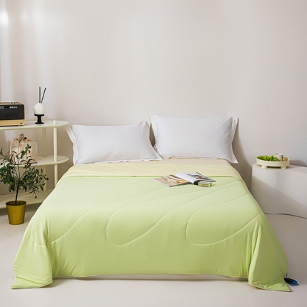 凌云家纺 2025新款100%锦伦冰丝夏被空调被 清新绿