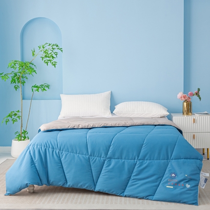 91家纺网 家纺一手货源 找家纺 （总）好老表被业 2025新款超柔云朵被芯零压被子