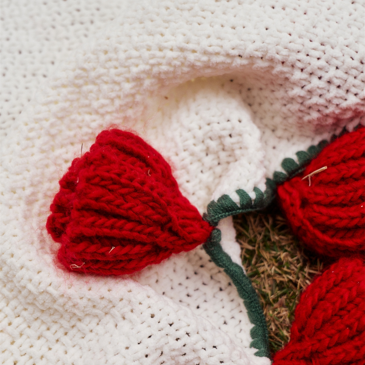 91家纺网 家纺一手货源 找家纺 暖绵绵家纺 2025春夏新款玫瑰花束毯多功能盖毯花束毯子 玫瑰花毯子毛毯毯子-桑薇 桑薇-红色