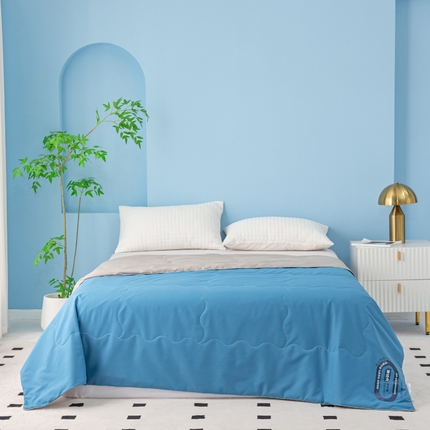 91家纺网 家纺一手货源 找家纺 （总）好老表被业 2025新款超柔云朵被芯零压被子