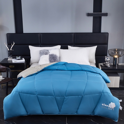 91家纺网 家纺一手货源 找家纺 （总）好老表被业 2025新款超柔云朵被芯零压被子