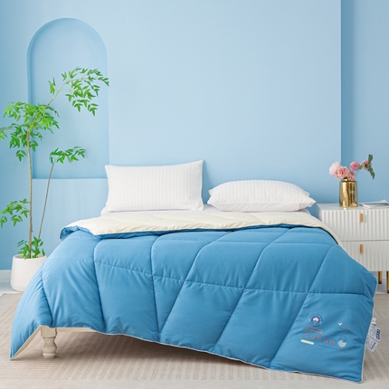 91家纺网 家纺一手货源 找家纺 （总）好老表被业 2025新款超柔云朵被芯零压被子