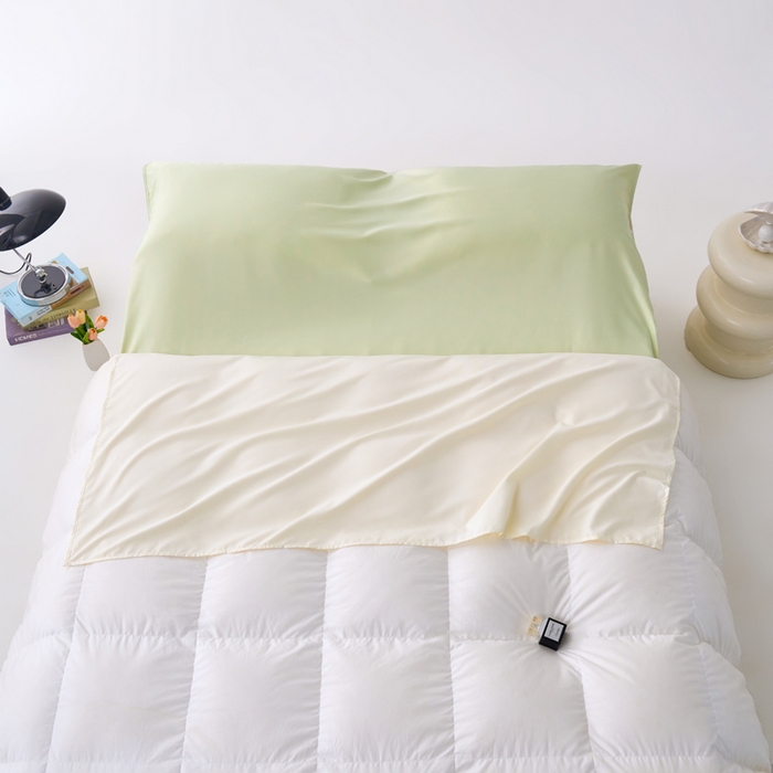 91家纺网 家纺一手货源 找家纺 （总）爱彼家纺 2025新款夏季冰丝纯色旅行睡袋-系列一