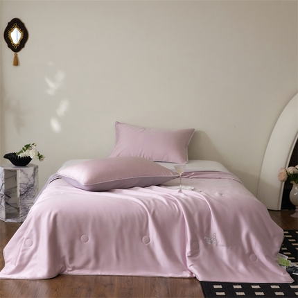 91家纺网 家纺一手货源 找家纺 （总）头等舱  2025新款60SA类兰精天丝净植力纯色（抗菌 防螨 低至敏等）夏被（配送包装）