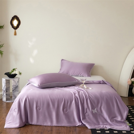 91家纺网 家纺一手货源 找家纺 （总）头等舱  2025新款60SA类兰精天丝净植力纯色（抗菌 防螨 低至敏等）夏被（配送包装）