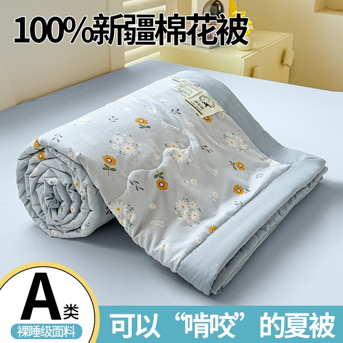 91家纺网 家纺一手货源 找家纺 （总）精选货源 2025新款A类水洗棉新疆棉花夏被被子被芯