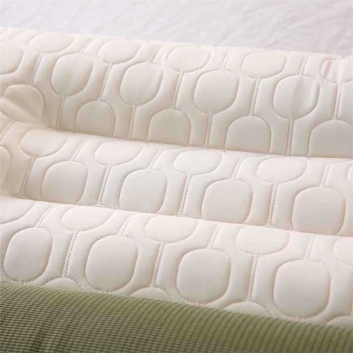 91家纺网 家纺一手货源 找家纺 天意美枕芯2025新款生物基枕枕头枕芯 生物基枕 48*74cm/对