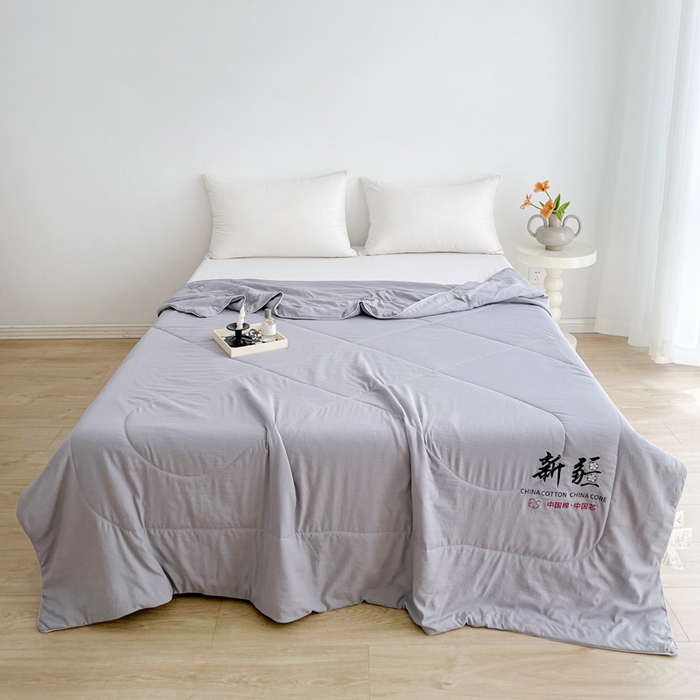 思雅庭 2025新款水洗棉新疆棉花被夏被夏凉被空调被子 灰色