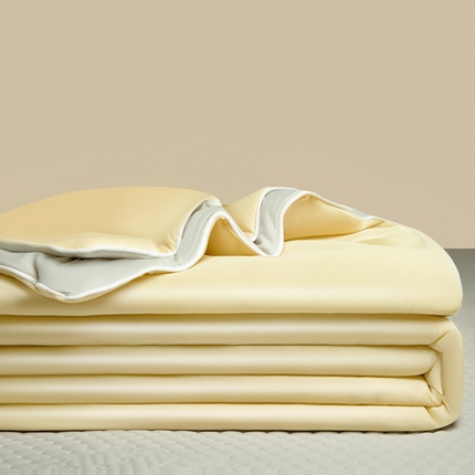 91家纺网 家纺一手货源 找家纺 （总）莱登卡奴 2025新款A类凉感丝熊豆豆夏被四件套