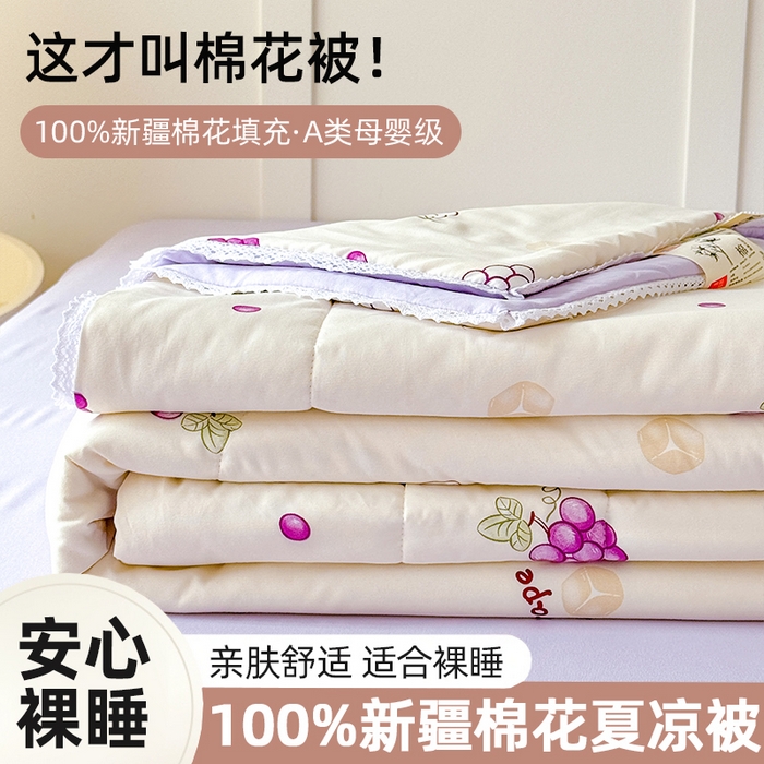 仁凱家紡 2025新款A(yù)類針織棉雙層紗100%新疆棉花花邊夏涼被四件套（包檢測）（提供買家秀） 紫色葡萄
