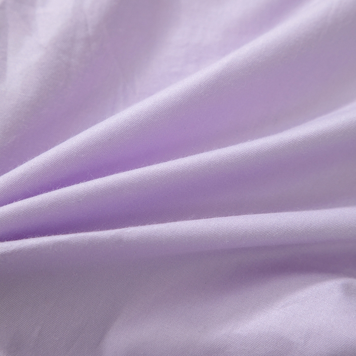 91家纺网 家纺一手货源 找家纺 照世家纺 2025春夏新款全棉纯棉印花A类抱枕被 淘气萌龙 40x40展开105x150