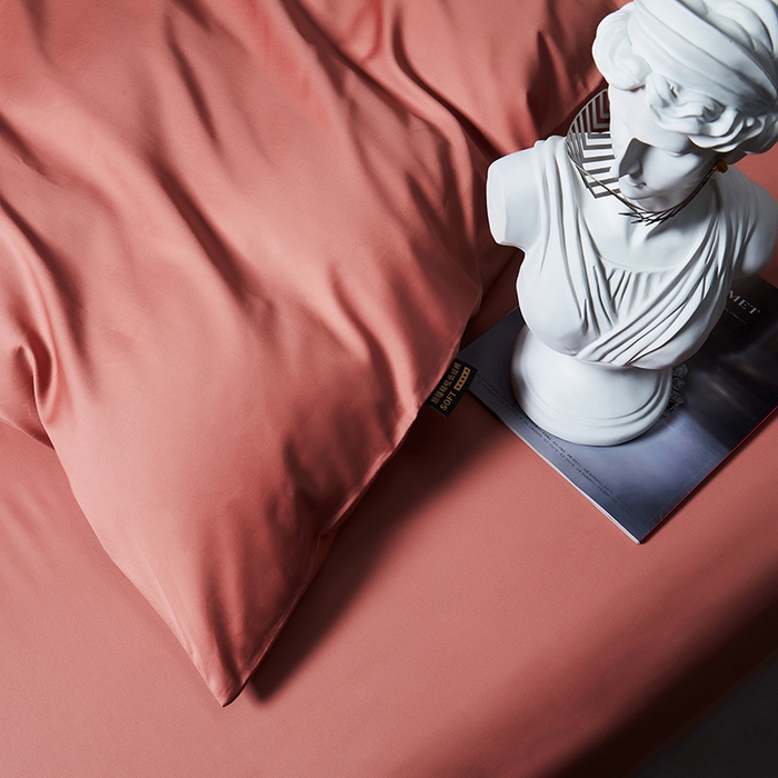 91家纺网 家纺一手货源 找家纺 洽想家 2025新款100支新疆长绒棉纯色双拼四件套 丹青桔-