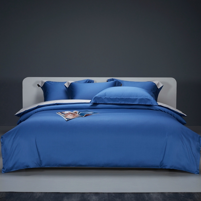 洽想家 2025新款100支新疆长绒棉纯色双拼四件套 巴黎兰+柏林灰-
