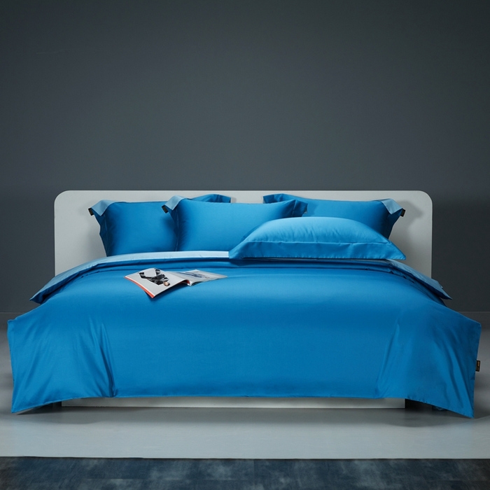 洽想家 2025新款100支新疆长绒棉纯色双拼四件套 元气蓝+茗翠兰-