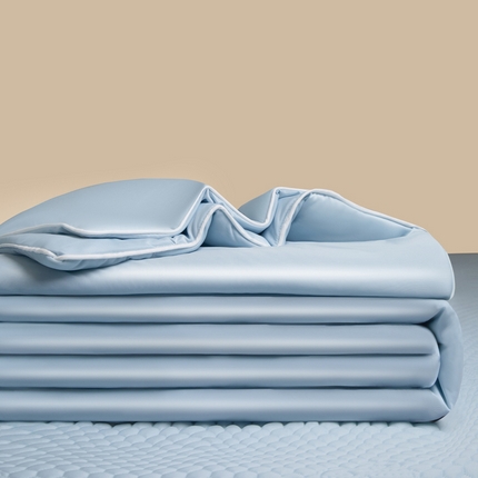 莱登卡奴 2025新款A类凉感丝熊豆豆夏被四件套 熊豆豆组合装湖兰