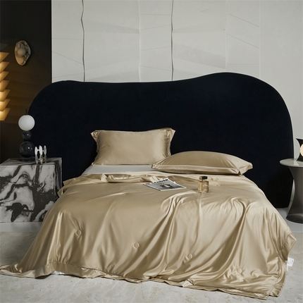 91家纺网 家纺一手货源 找家纺 （总）头等舱  2025新款水光缎冰肌锦氨A类可水洗100%有机榨蚕丝夏被带礼盒