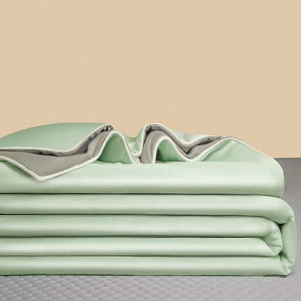 91家纺网 家纺一手货源 找家纺 （总）莱登卡奴 2025新款A类凉感丝熊豆豆夏被四件套