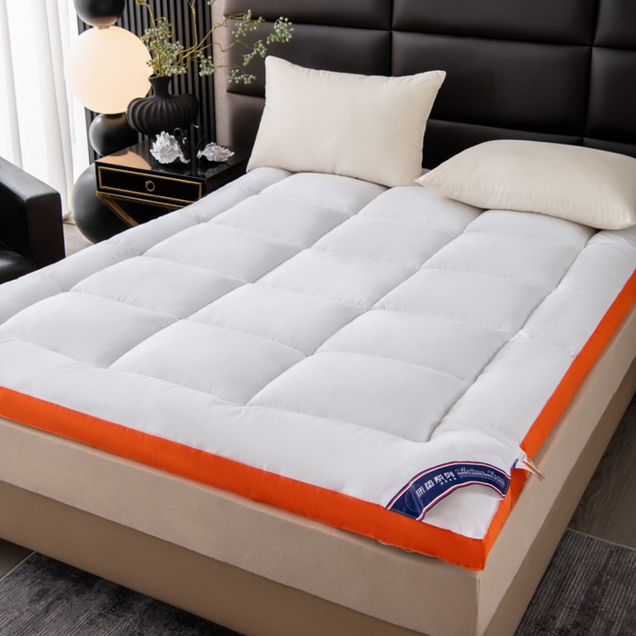 91家纺网 家纺一手货源 找家纺 （总）瑶瑶家居2025年新款加厚羽丝绒大豆床垫（不零售，其他规格一包起定）