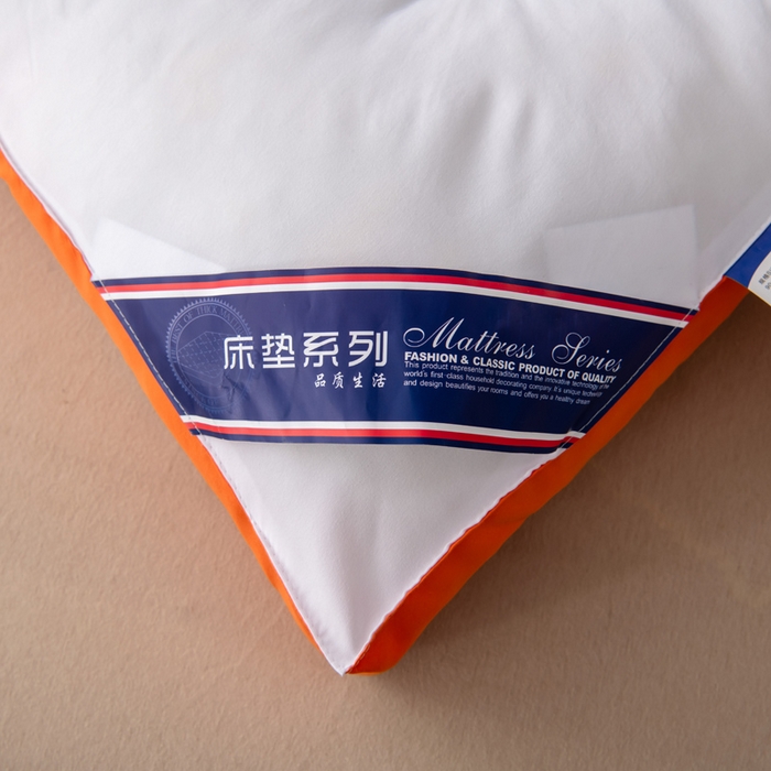 91家纺网 家纺一手货源 找家纺 （总）瑶瑶家居2025年新款加厚羽丝绒大豆床垫（不零售，其他规格一包起定）