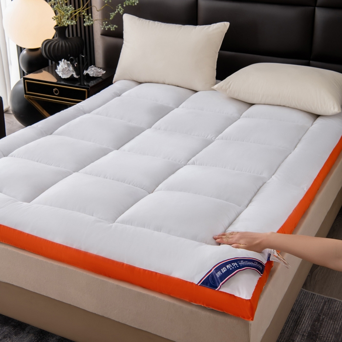 91家纺网 家纺一手货源 找家纺 （总）瑶瑶家居2025年新款加厚羽丝绒大豆床垫（不零售，其他规格一包起定）