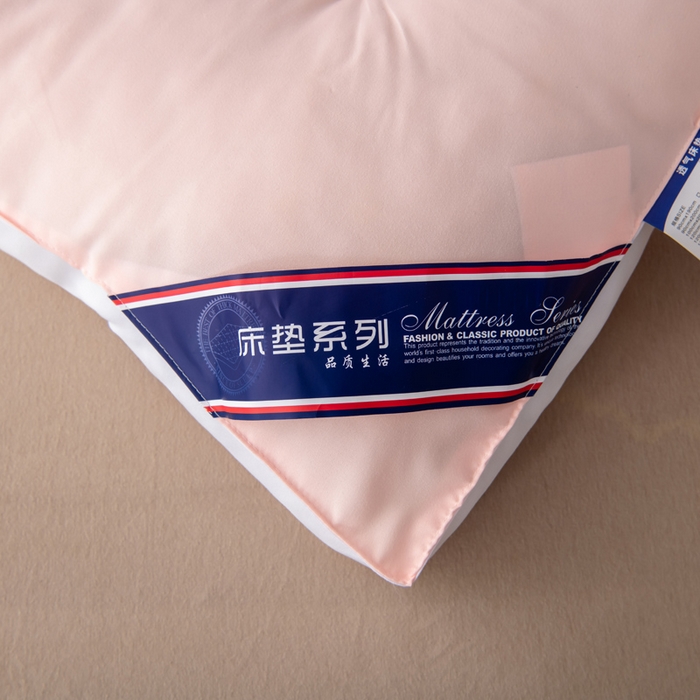 91家纺网 家纺一手货源 找家纺 瑶瑶家居2025年新款加厚羽丝绒大豆床垫（不零售，其他规格一包起定）