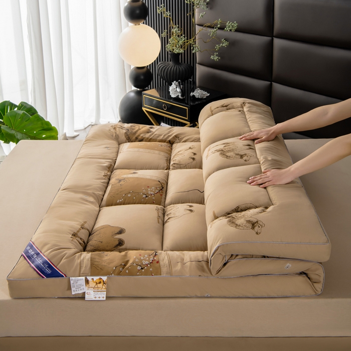 瑶瑶家居2025年新款加厚羽丝绒大豆床垫（不零售，其他规格一包起定）