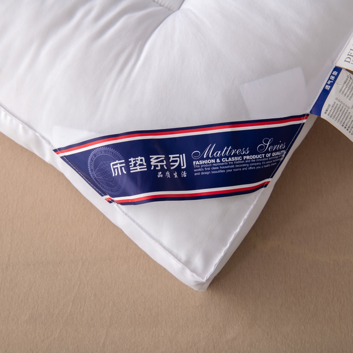 91家纺网 家纺一手货源 找家纺 瑶瑶家居2025年新款加厚羽丝绒大豆床垫（不零售，其他规格一包起定）