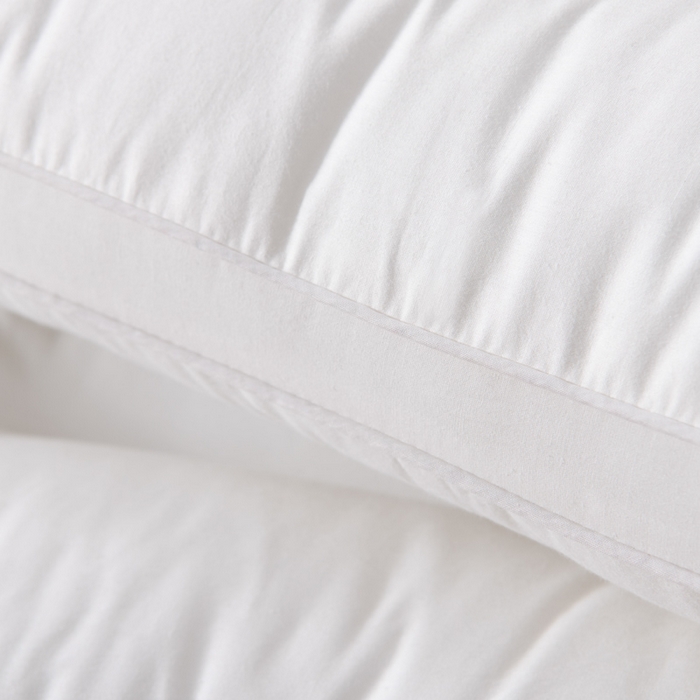 91家纺网 家纺一手货源 找家纺 大熊枕芯 2025新款全棉纯棉毛巾绣枕芯枕头 萌趣狗-护颈枕 48x74cm/对