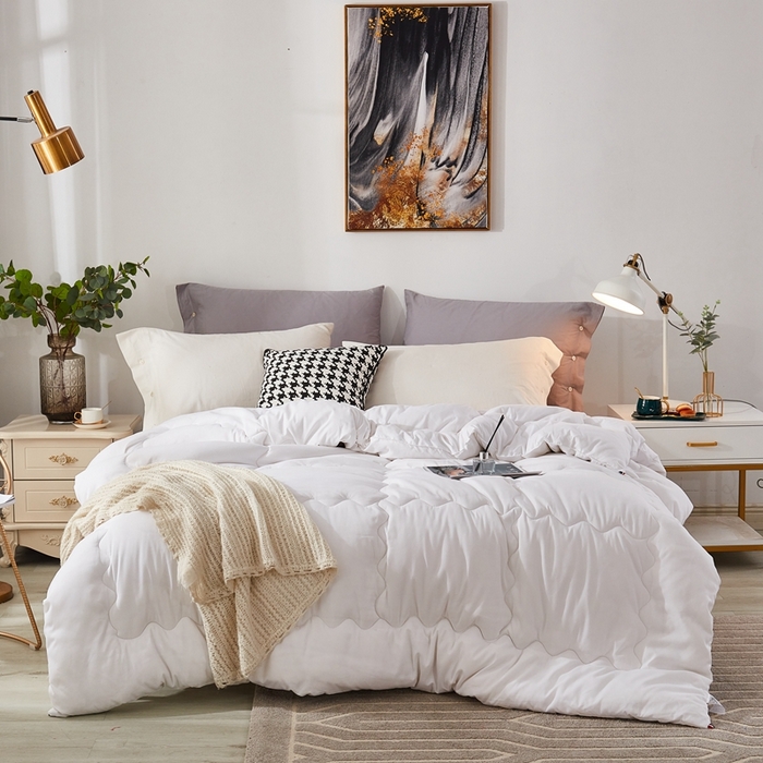 （总）啊雅家居 2025新款高密度舒适磨毛冬被大量备货