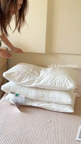 91家纺网 家纺一手货源 找家纺 （总）伟邦枕芯 2025新款A类大格子酒店枕枕头枕芯